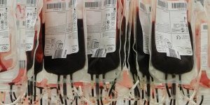 Découverte de la transfusion sanguine