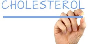 Cholestérol et régime paléo